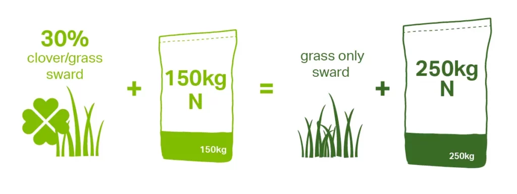 White clover vs grass only swards