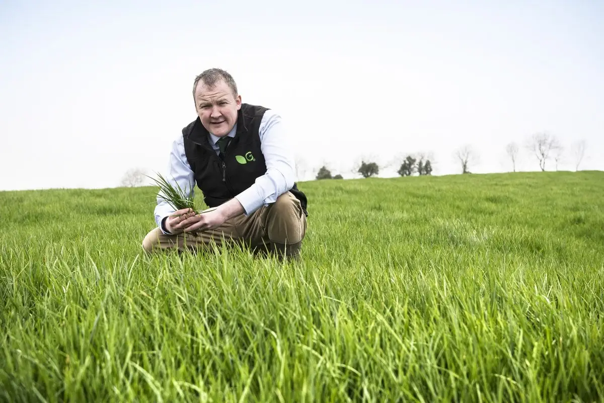 How AFBI Soil Nutrient Health Scheme can benefit grassland farmers