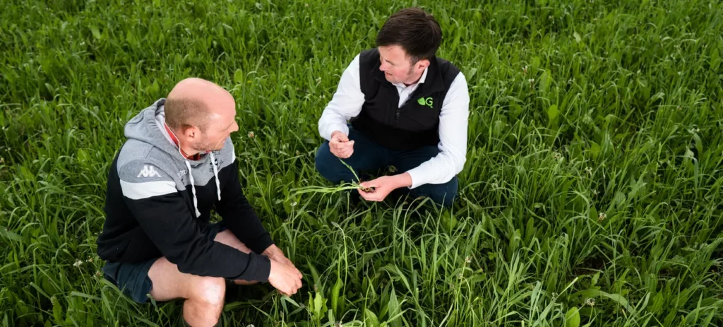 A Germinal grassland expert sitting in a field showing grass to a farmer.