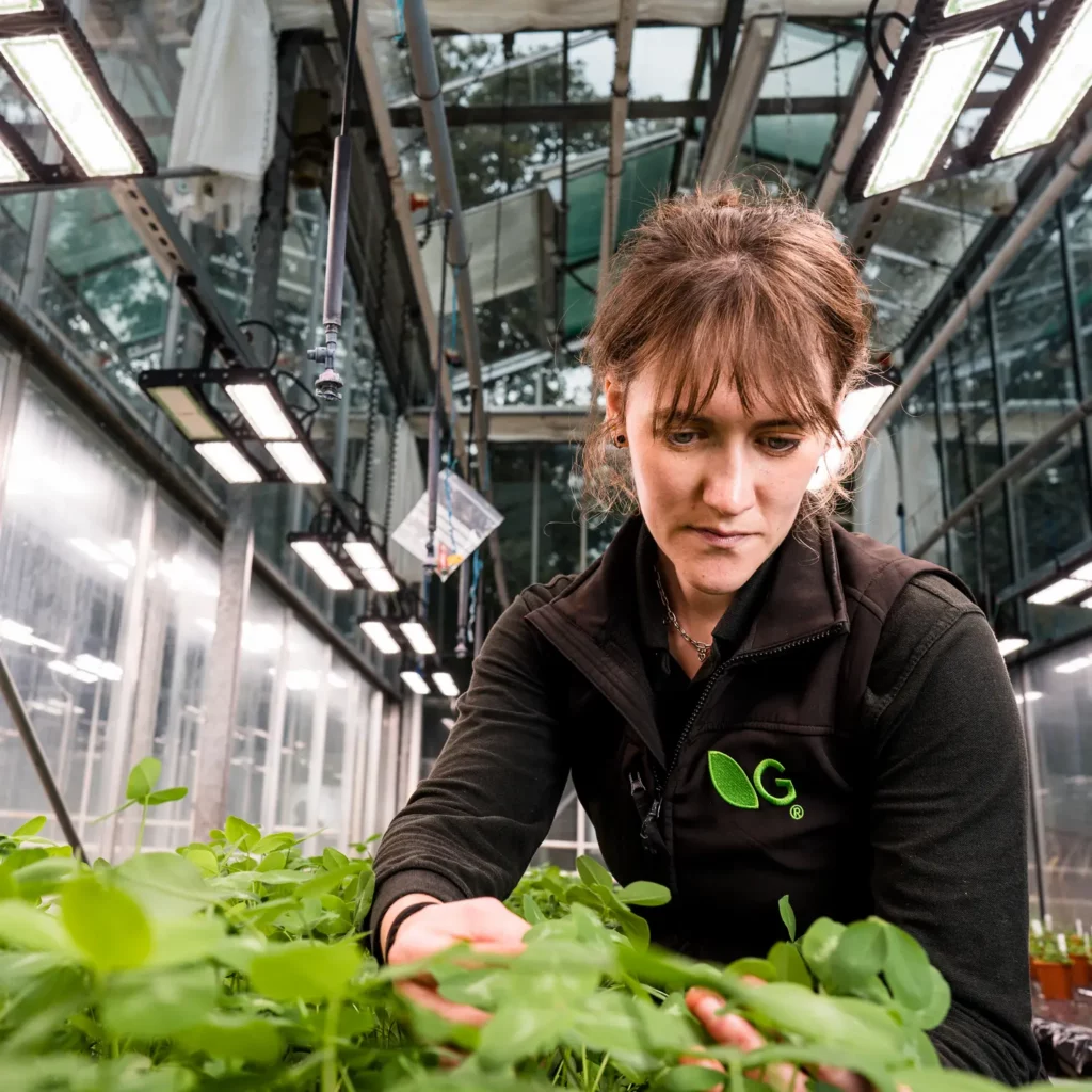 Germinal Horizon plant breeder Grace Gay