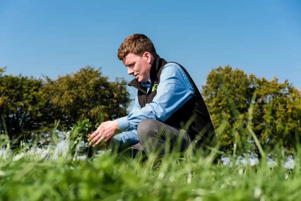 Germinal Ireland expert Pat Delaney