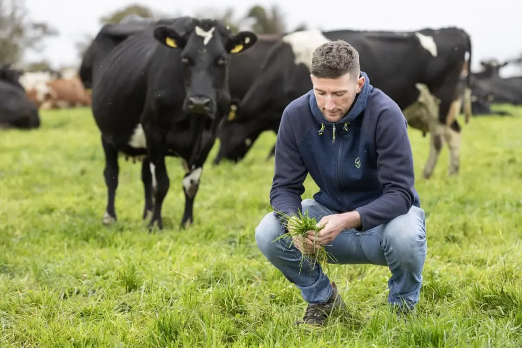Clover-powered dairy performance with lower emissions