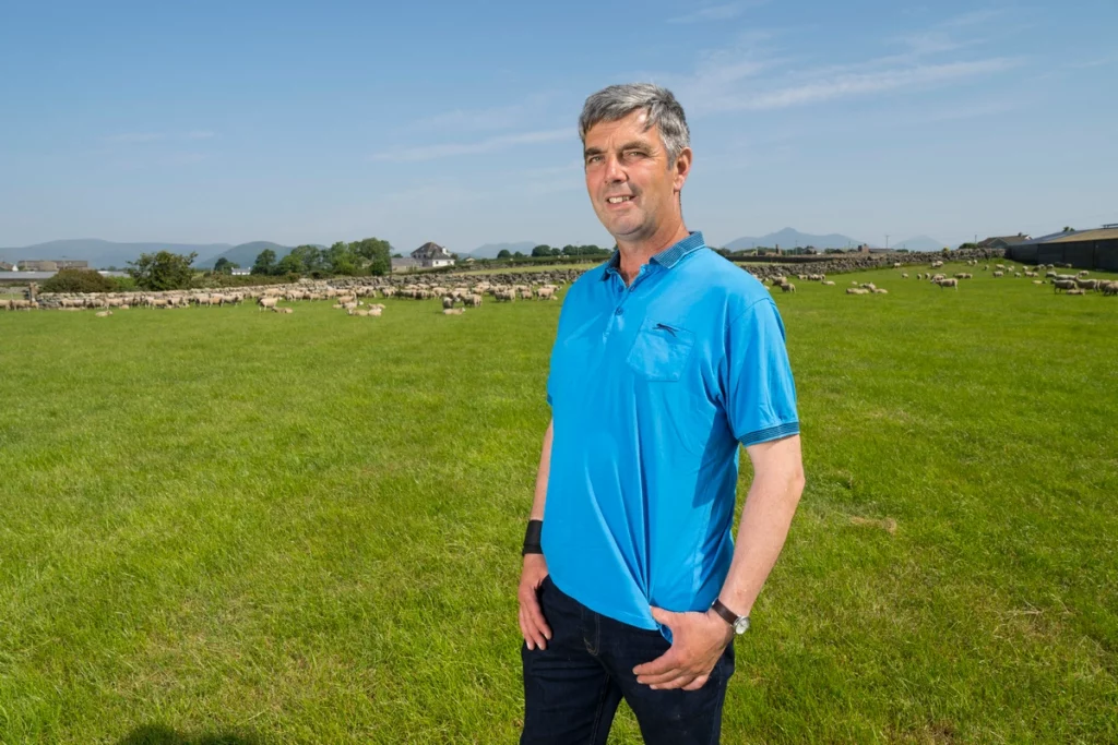 Award-winning farmer James Henderson in field with sheep